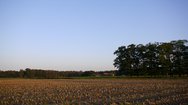 Twents coulissenlandschap Denekamp bij duitse grens richting Nederland